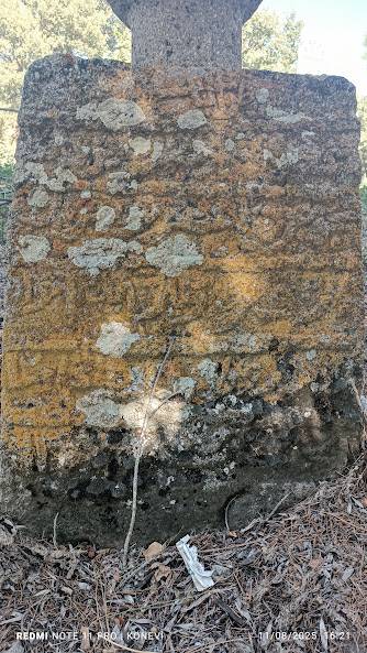 Konya’nın pastoral güzellikler bölgesi Yeşil Tekke 10