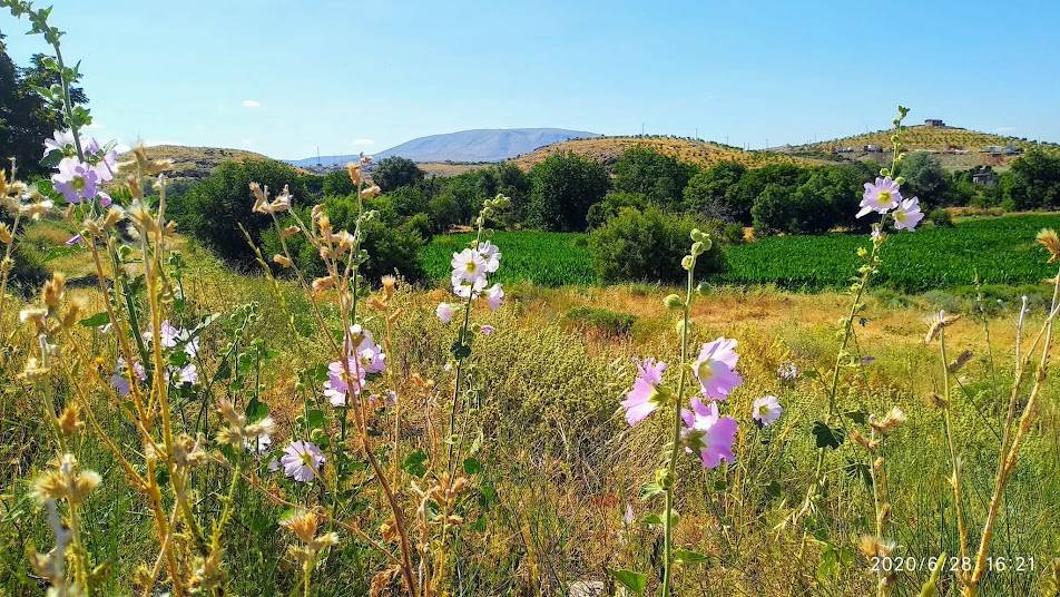 Konyanın Haşmetli Dağı Loras Dağı 14