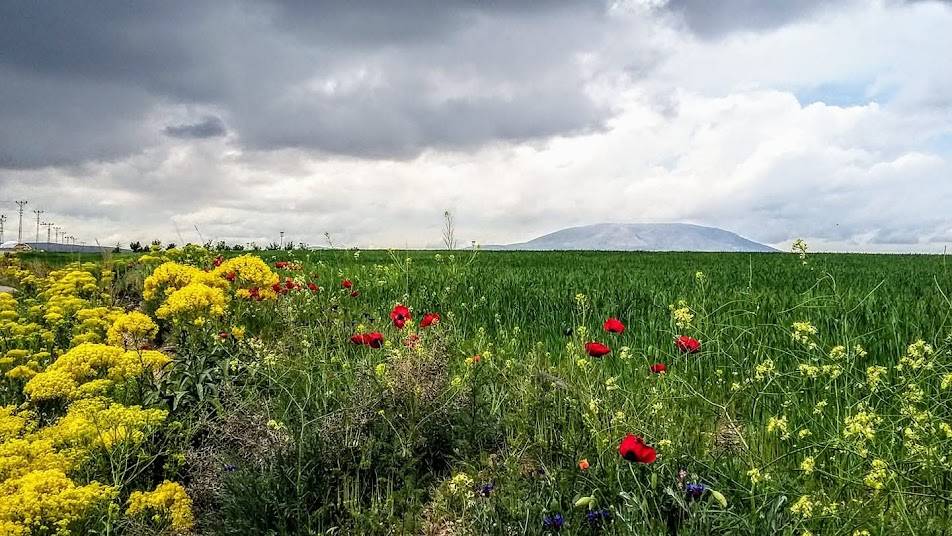 Konyanın Haşmetli Dağı Loras Dağı 4