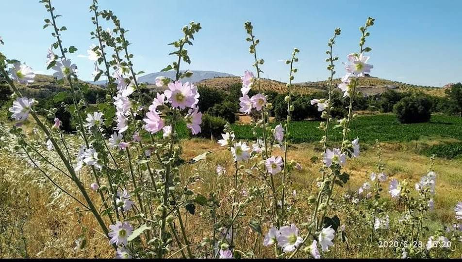 Konyanın Haşmetli Dağı Loras Dağı 6