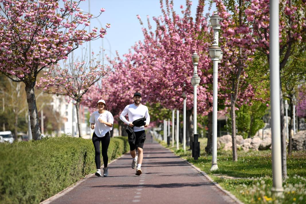 Sakuralar İçin Japonya’ya Gitmenize Gerek Yok; Konya’da Sakura Mevsimi Başladı 25