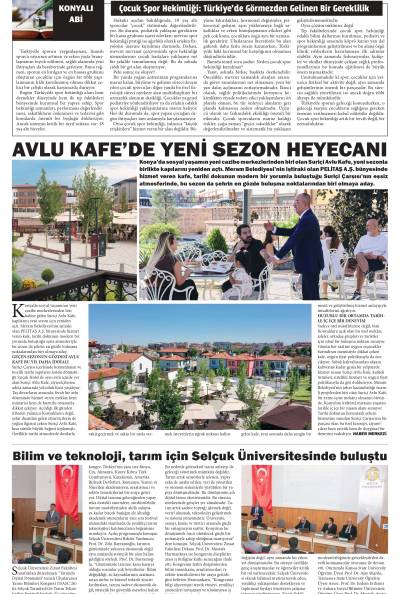 5. Sayfa