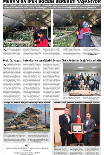 8. Sayfa