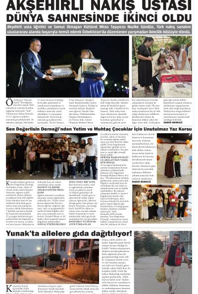 8. Sayfa