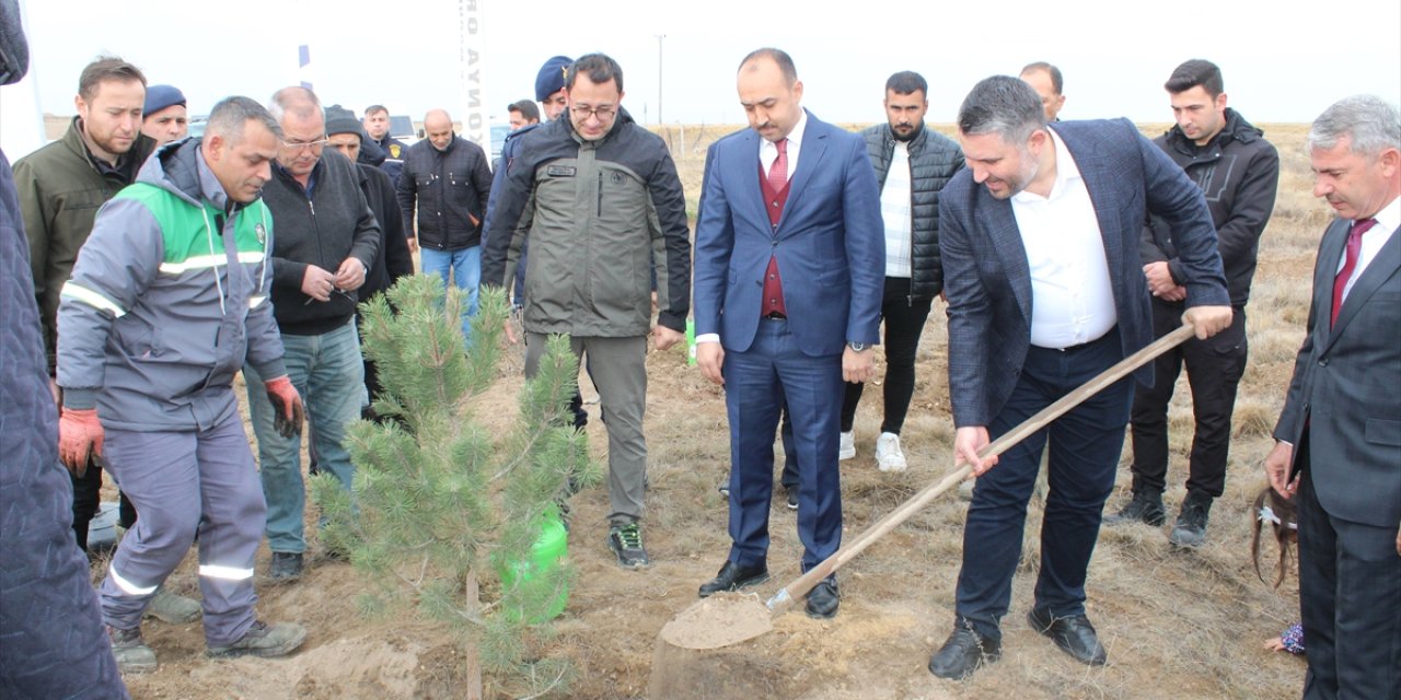 İnan, memleketi Konya'da ağaçlandırma etkinliğine katıldı