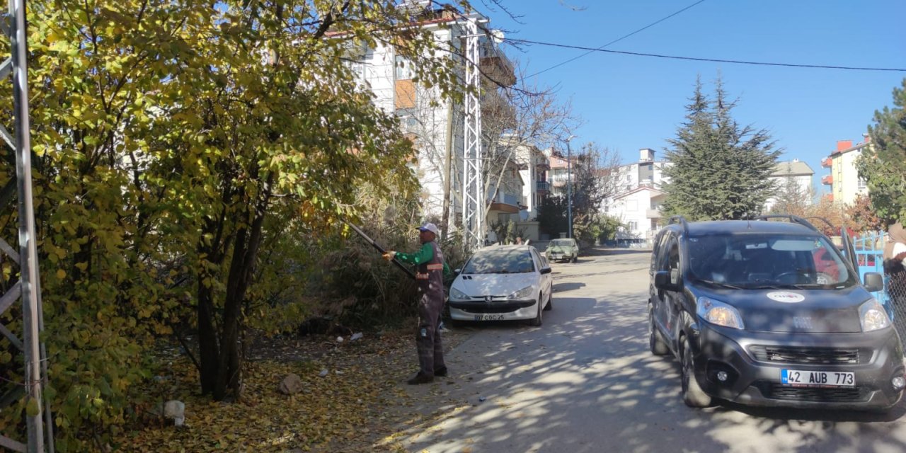 Beyşehir Belediyesi’nden ağaç budama çalışmaları devam ediyor