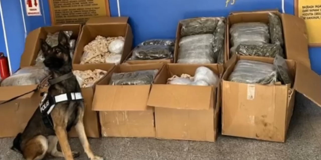 TIR'da 110 kilo skunk ele geçirildi; 2 tutuklama
