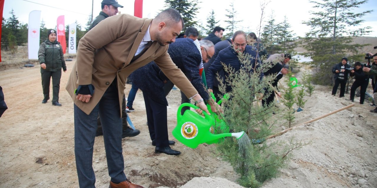 Gazze’deki gazeteci şehitler için Konya’da hatıra ormanı oluşturuldu