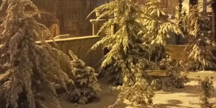 Konya'da hasret sona erdi! Bereket başladı