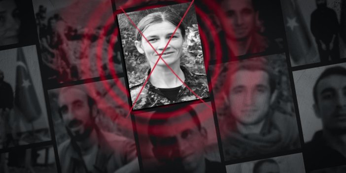 MİT'ten nokta operasyon