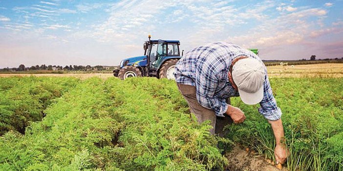 Hazine ve Maliye Bakanlığı: esnaf va çiftçi desteği