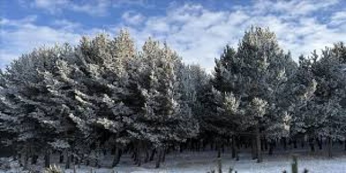 Erzurum, Ardahan, Ağrı ile Kars'ta kırağı ve buzlanmalar oluştu