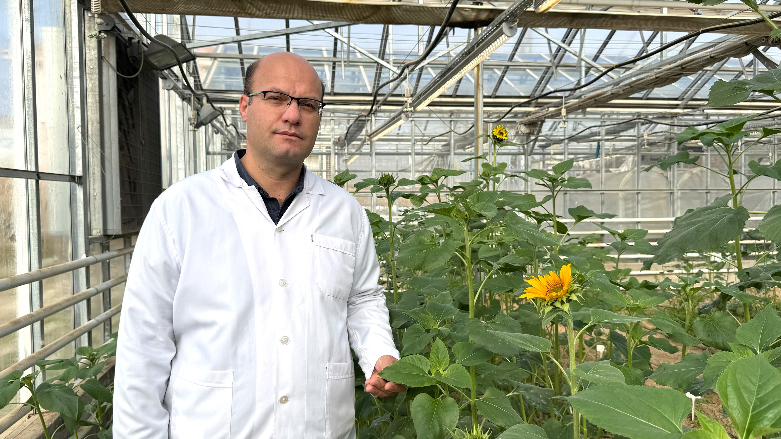 Selçuk Üniversitesi Türk çiftçisini dışa bağımlılıktan kurtaracak