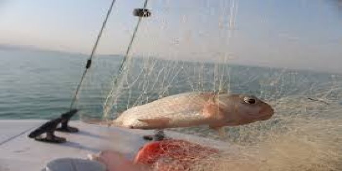 Beyşehir gölündeki balıkların popülasyonunu korumak için denetimler