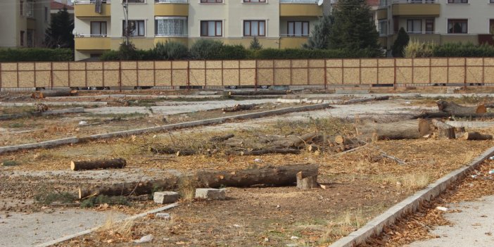 Konya İKK: Ağaçların kesilmesi konusunda açıklama bekliyoruz
