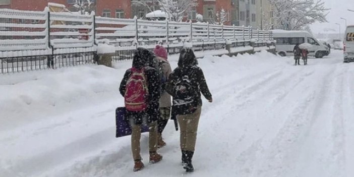 Kaymakamlıktan açıklama geldi Lice ve Hazro’da bugün okullar tatil mi?