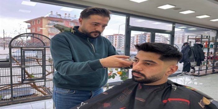 Konya'da bir kuaför müşterilerini, omzunda iguana ile tıraş ediyor
