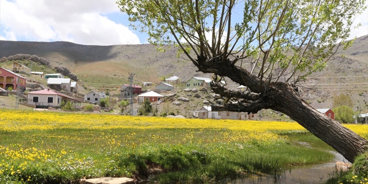 Yerköprü Şelalesi'nden kış ortasında buhar çıkıyor