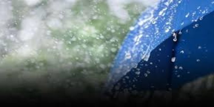 11 Ocak 2025 Cumartesi Bitlis'de hava nasıl olacak? Yağış var mı?