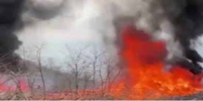 Ordu'da çıkan yangın iş yeri ile depoda hasara neden oldu