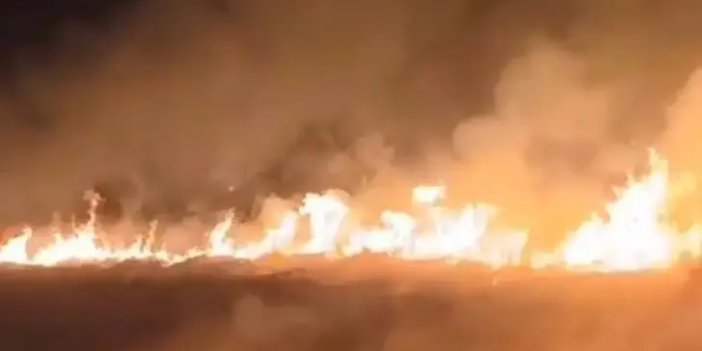 Sultan Sazlığı Milli Parkı'nda yangın çıktı