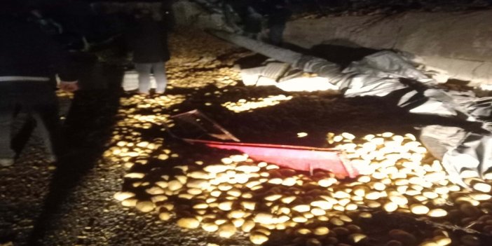 Kamyonun dorsesi devrildi; tonlarca patates yola saçıldı
