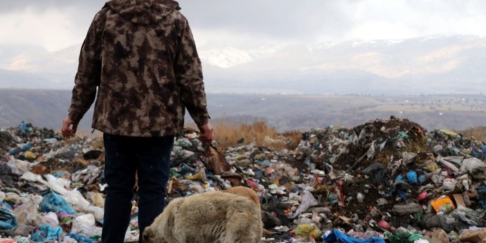 16 yıldır kedi ve köpekleri besliyor