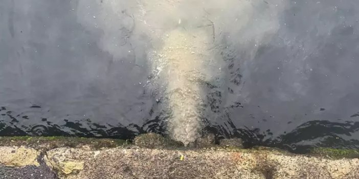 2024'te çevreyi kirleten 7 bin 448 tesise ceza