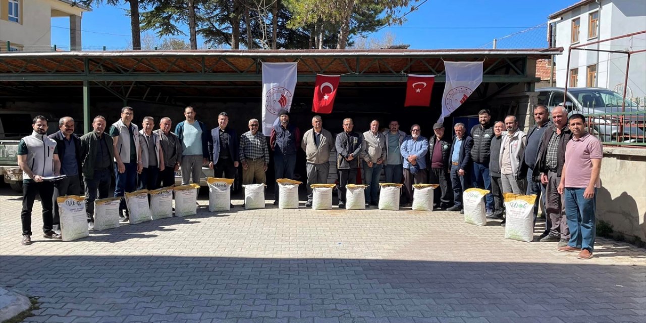 Beyşehir'de yağlık ayçiçeği tohumu dağıtıldı