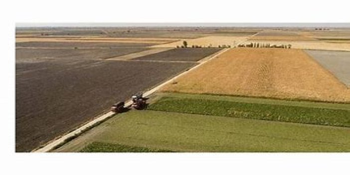 "Türkiye'nin tahıl ambarı" Konya Ovası yeni eylem planıyla vizyon büyütecek