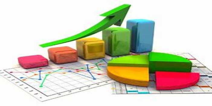Türkiye’de 2024 doğum istatistikleri