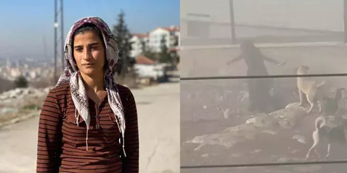 Hamile kadın köpek saldırısından zar zor kurtuldu