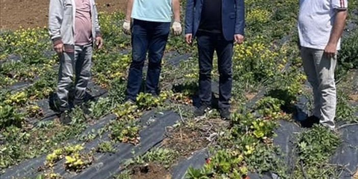 Gelecek Partisi Isparta’ya Çıkarma Yaptı