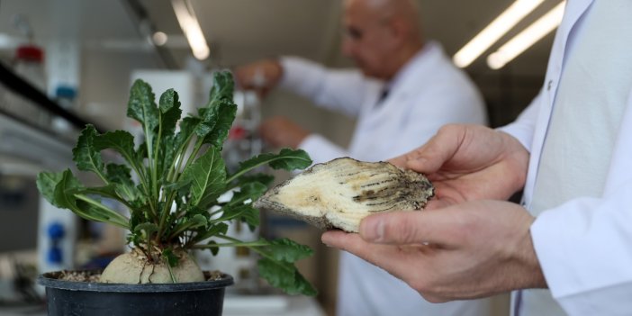 7 yıldır yürütülen denemeler çevreyi de koruyacak