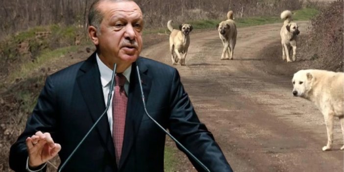 Cihanbeyli’ye yeni müjdeler