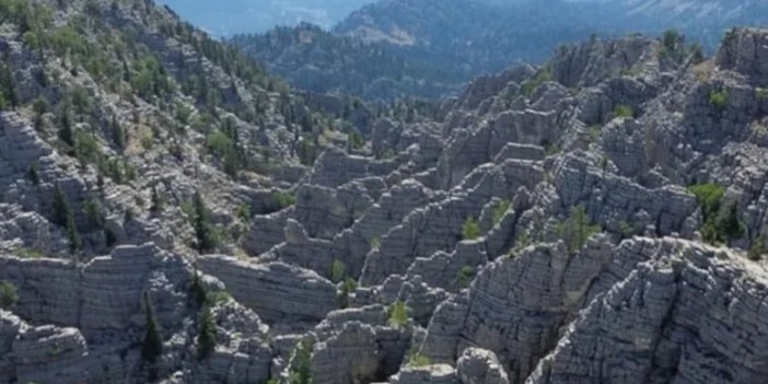 Cengiz Holding'den açıklama: Alüminyum, ülkemiz için stratejik öneme sahiptir