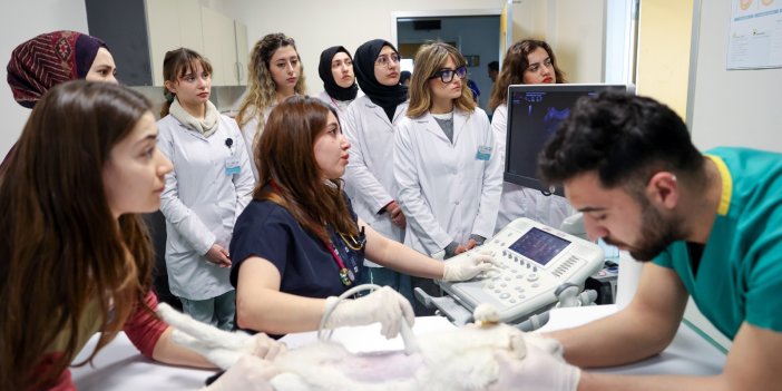 Hayvan hastanesi öğrencilere tecrübe kazandırıyor