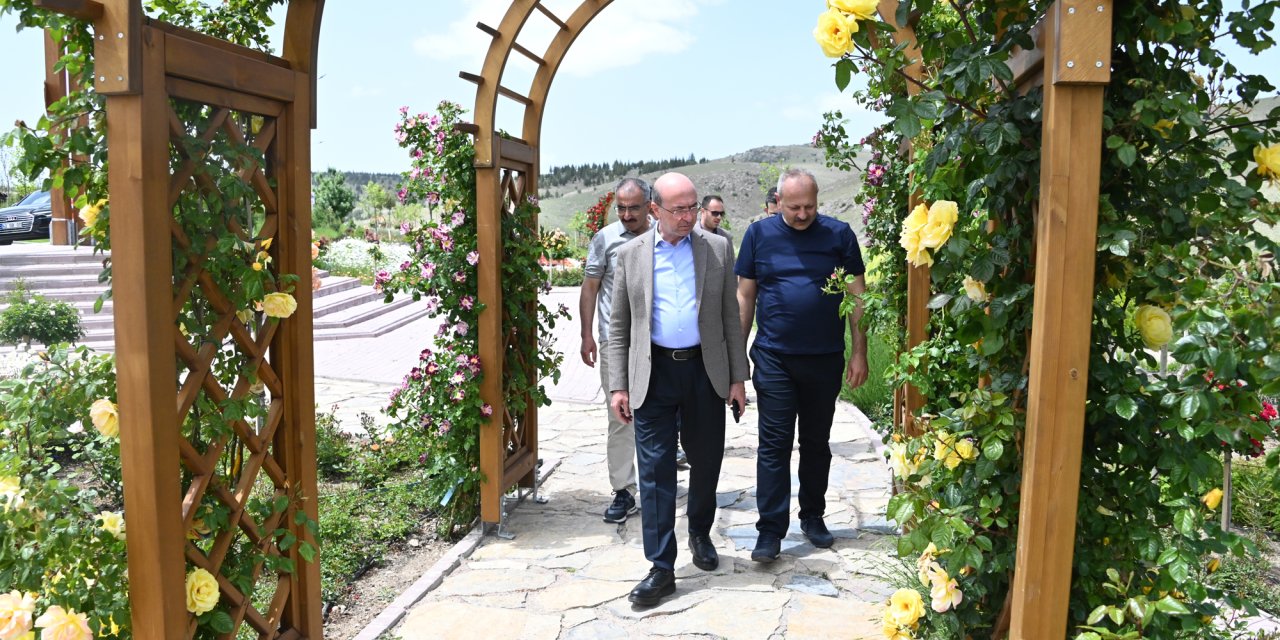 Büyükbaş hayvanlara çarpan araç sahibi öldü