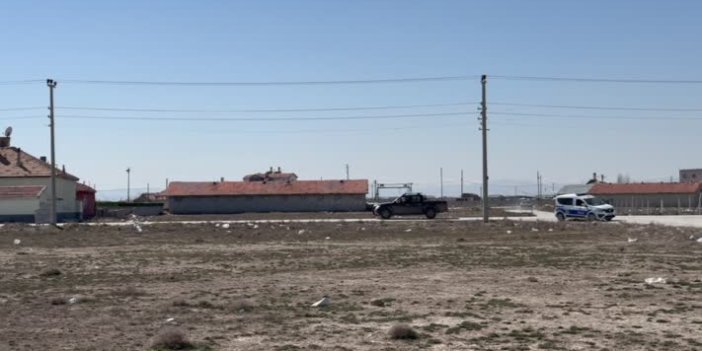 Konya'da bebeğin köpek saldırısında öldüğü mahalledeki sahipsiz köpekler toplanıyor