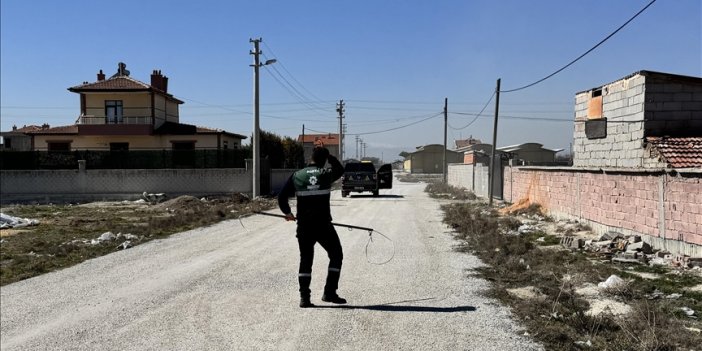 Konya'da köpeklerin saldırdığı bebeğin ölümüne ilişkin soruşturma başlatıldı