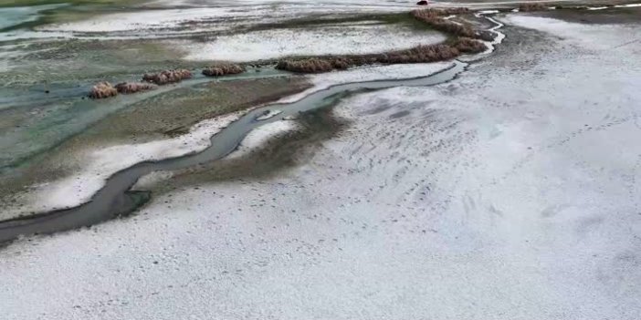 Konya'da kuraklığın etkisindeki Düden Gölü'nde yaban hayatı çeşitliliği azalıyor...