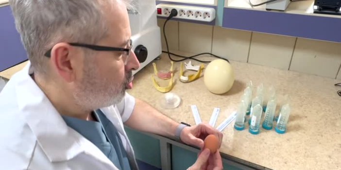 Konya'da diş hassasiyeti olanlar için "florsuz vernik" geliştirildi