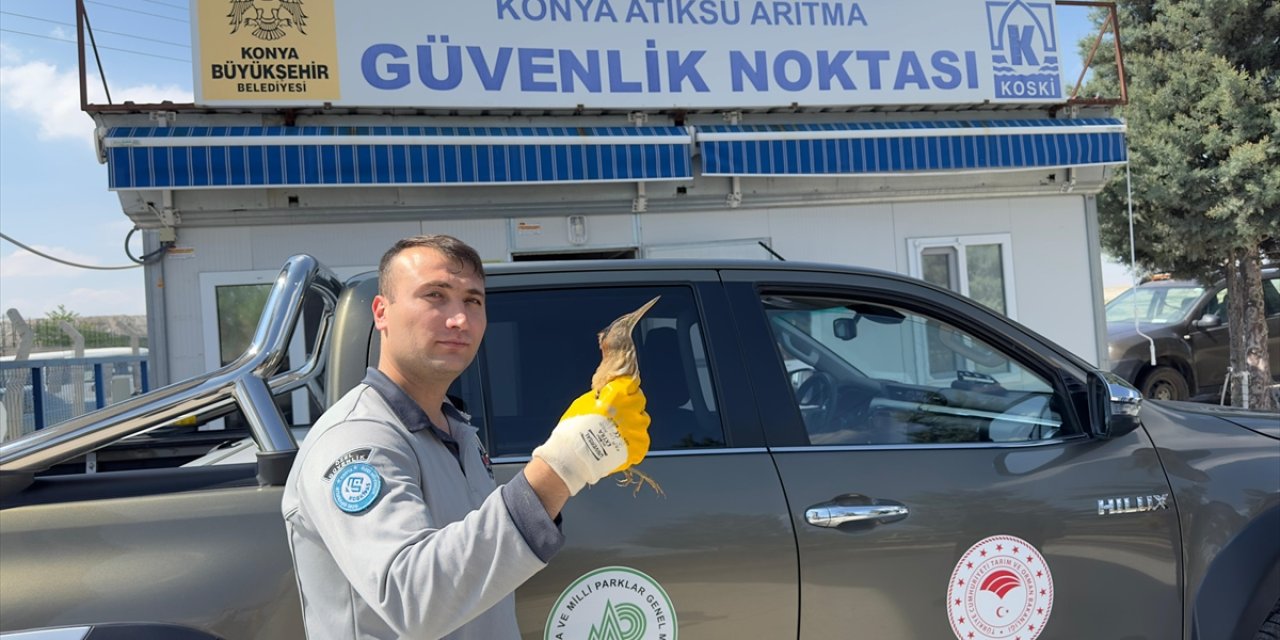 Çelikkayalar 30. şubesini açtı