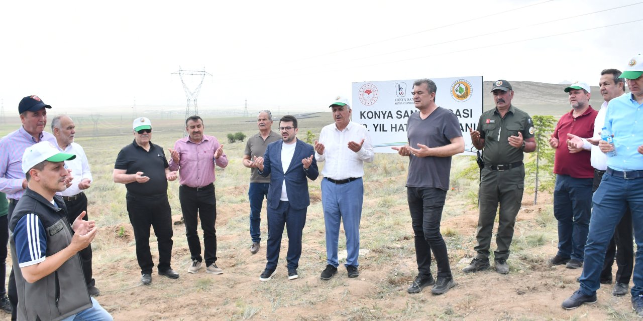 Cinsel istismar davasında 'teşebbüste kaldı'
