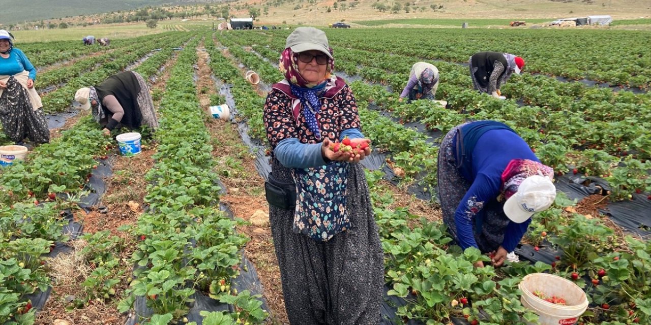 AFAD gönüllüleri eğitim kampında bir araya geldi