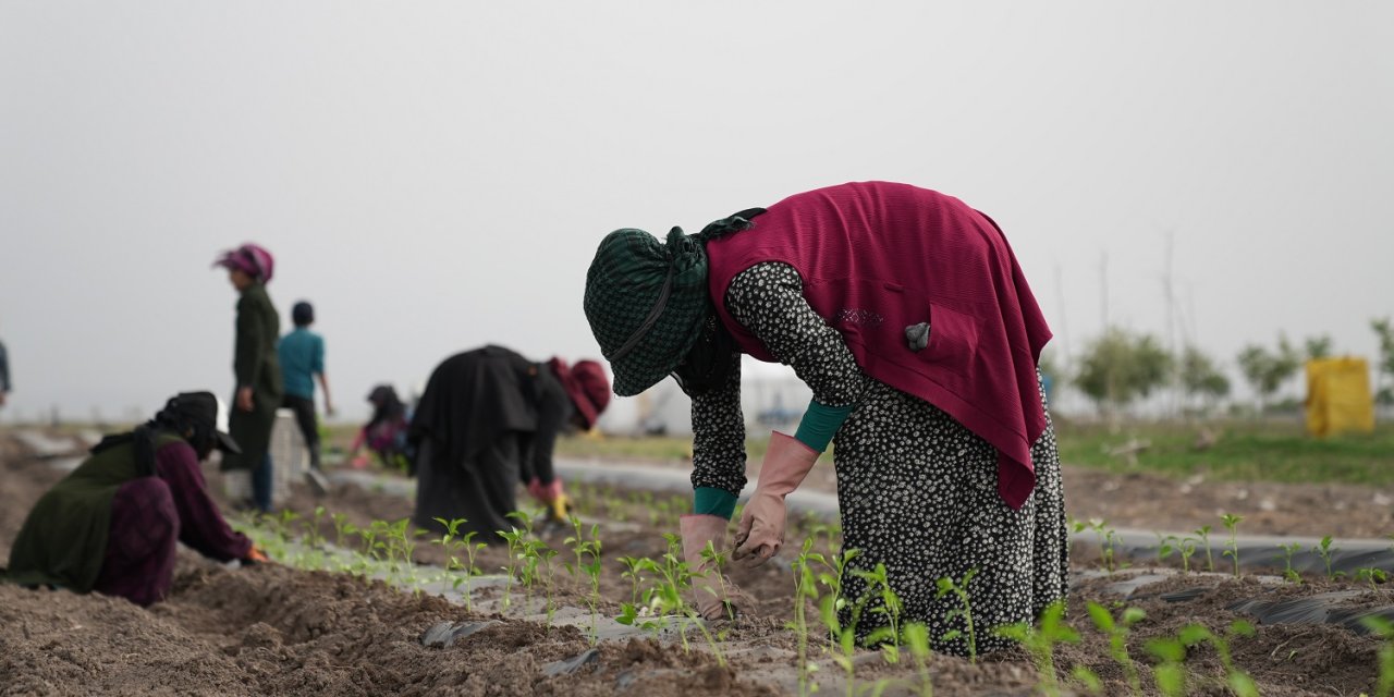 Ata Tohumları Karatay’da toprakla buluştu