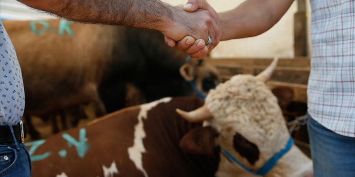 7 bin 500 liradan başlıyor! Konya'da kurban kesim fiyatları belli oldu!