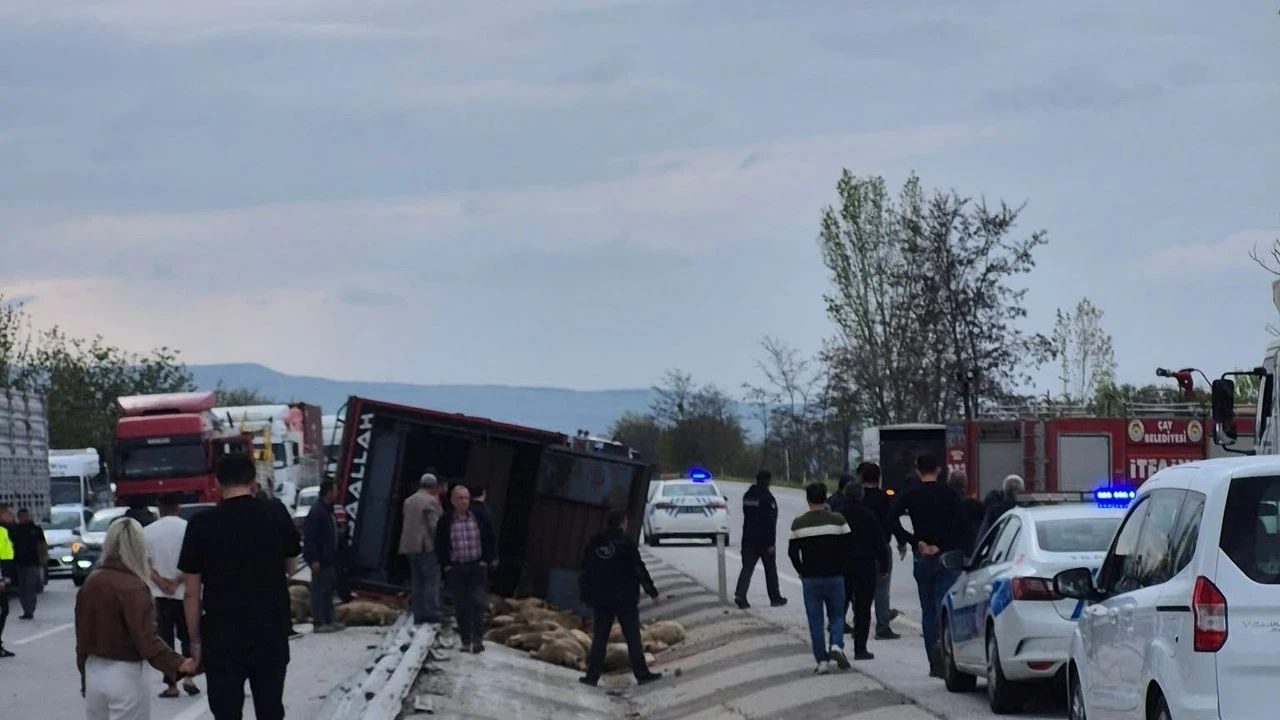 Konya yolunda kamyon devrildi: 53 kurbanlık koyun telef oldu