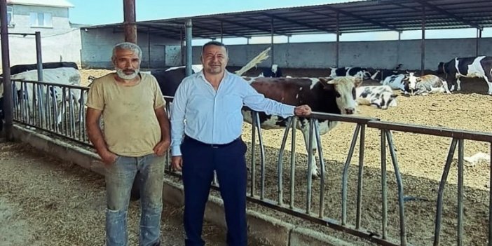 Hayvan gübreleri tarım arazilerinde kullanılacak