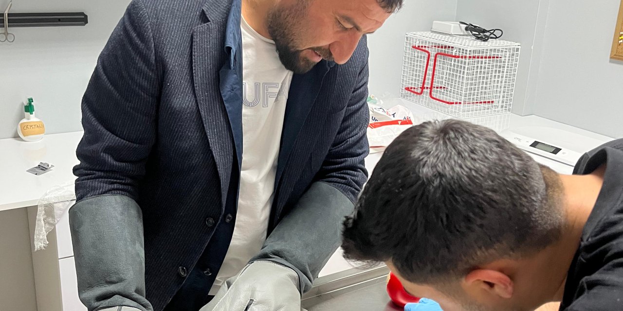 Evin bahçesinde bulunan yaralı şahin tedaviye alındı